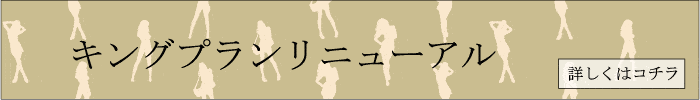 キングプラン割引!