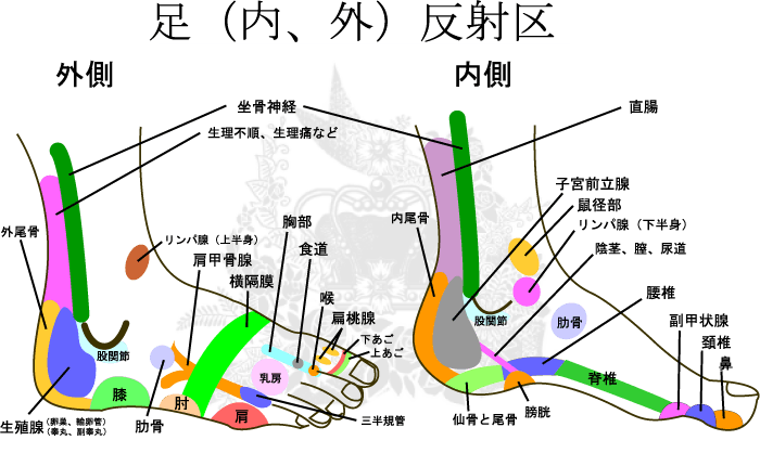 １人でもできる 簡単リフレクソロジー アロマンシェス名古屋